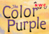 the-color-purple-by-walker