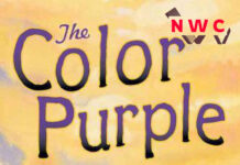 the-color-purple-by-walker