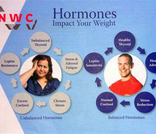 hormones-impact-on-weight